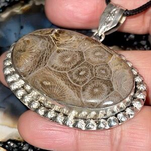 Deep Dark Brown Fossilized Coral Pendant 2”